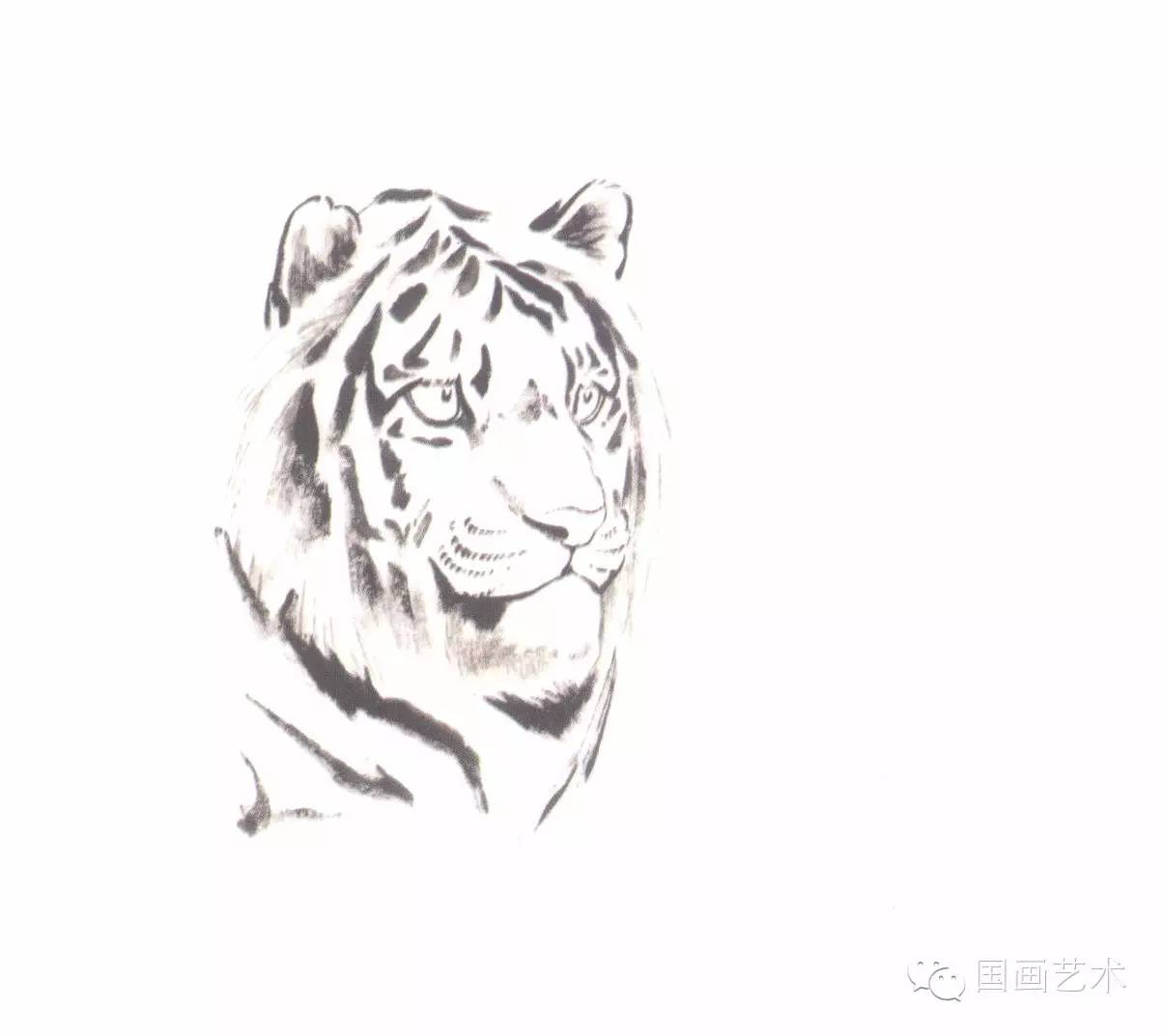 写意画虎教程,写意虎的十种方法