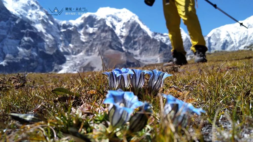 高山之巅的感悟,高山低谷的感悟