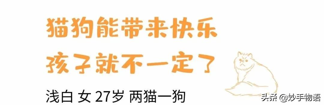 为什么总有人说养猫不如养小孩,年轻人不生孩子反而开始养猫了