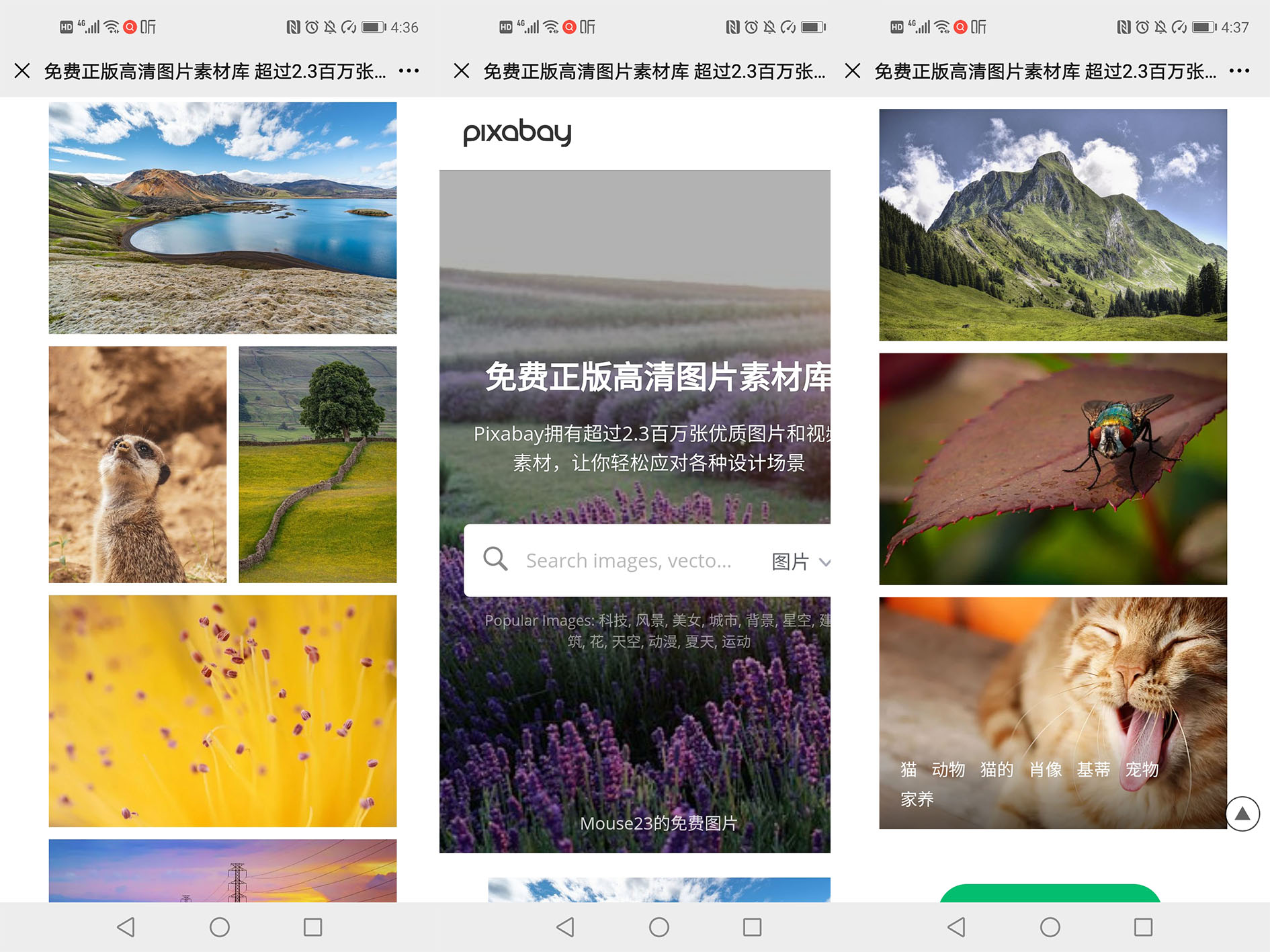 网址如何做成微信二维码,网页链接二维码生成器