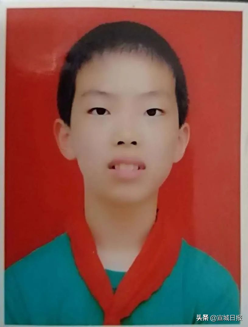 请为优秀队员投票,给优秀少年投票