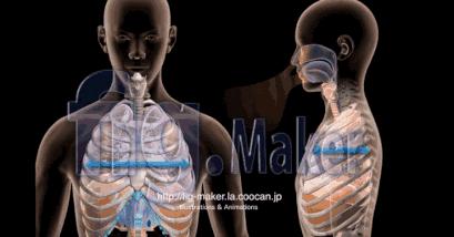 胸大但是瘦是什么原因,又瘦又有胸怎么回事