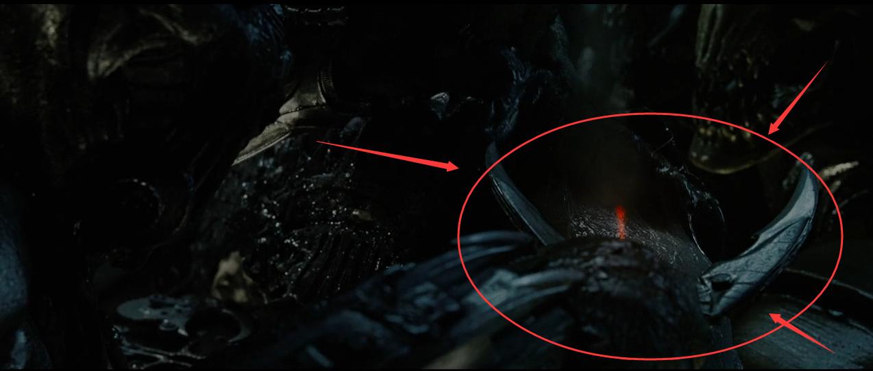 铁血战士系列解析,铁血战士形态全部解析