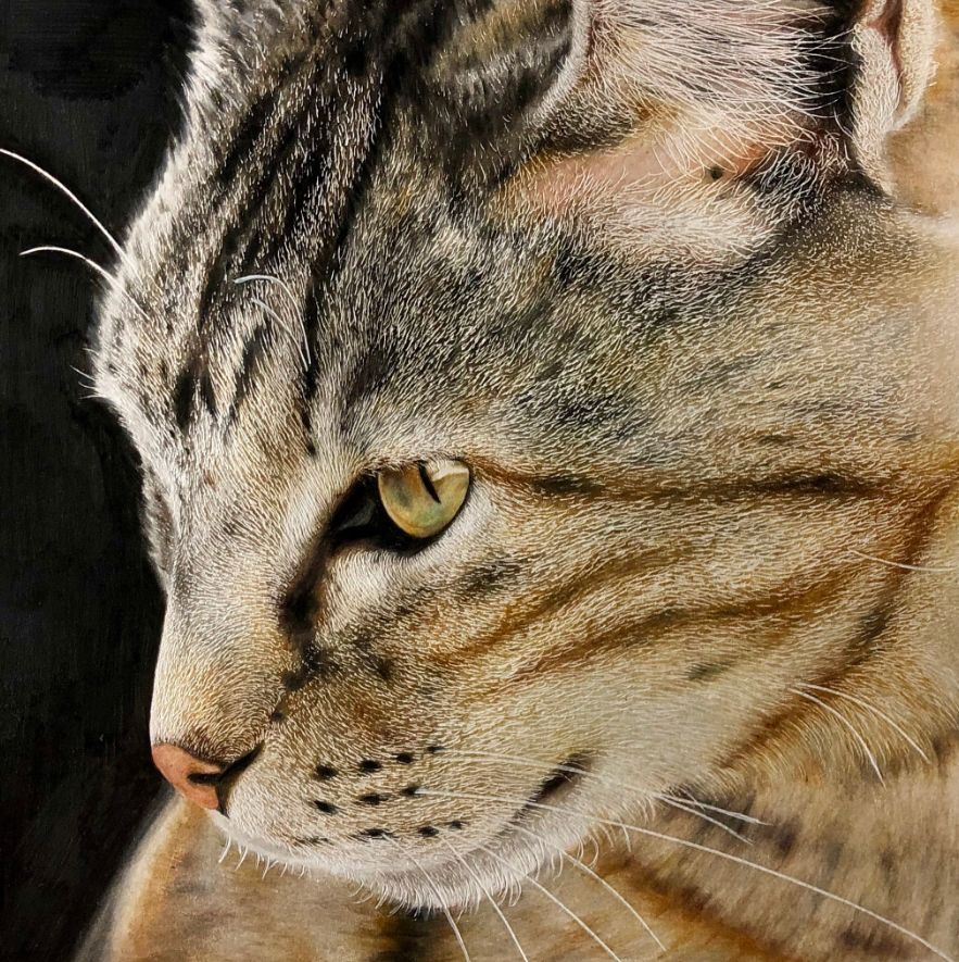 失明女孩铅笔画,手绘眼睛流泪铅笔画