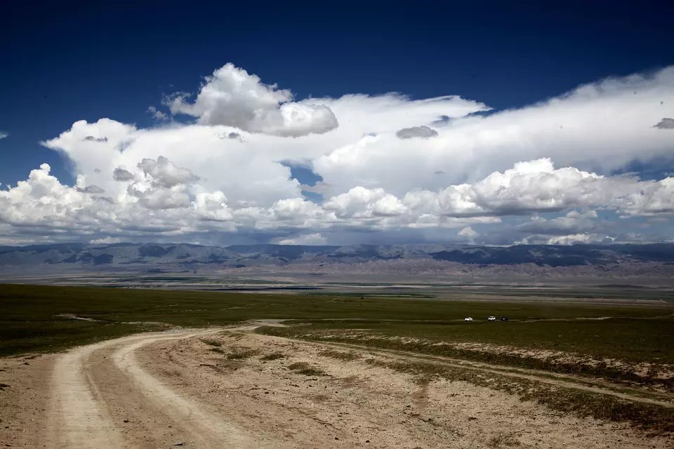 骆驼奶粉的功效与营养价值,骆驼奶粉和牛奶粉哪个营养价值高