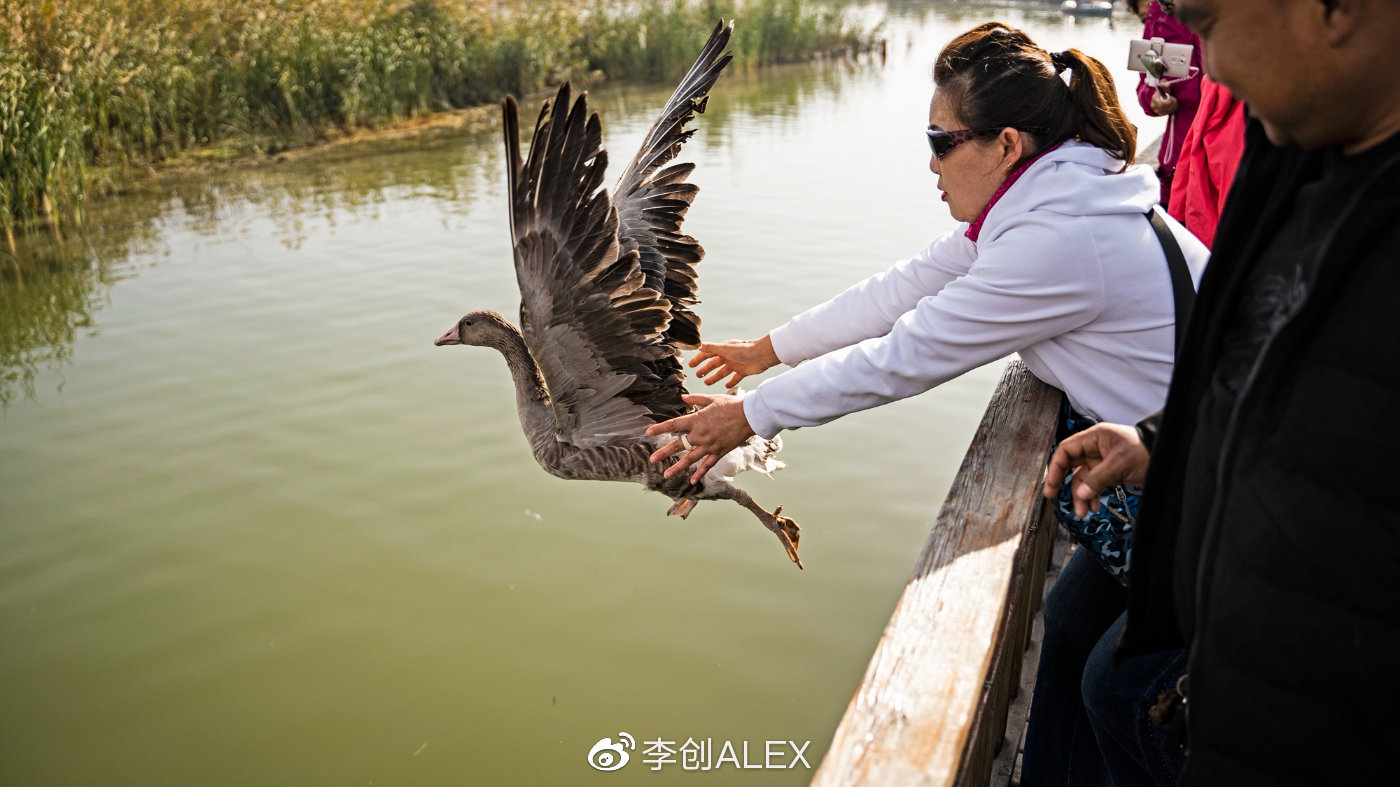 来宁夏玩的攻略,从宁夏去内蒙怎么玩