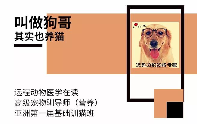 过期猫狗粮,进口猫粮过期了还能吃吗