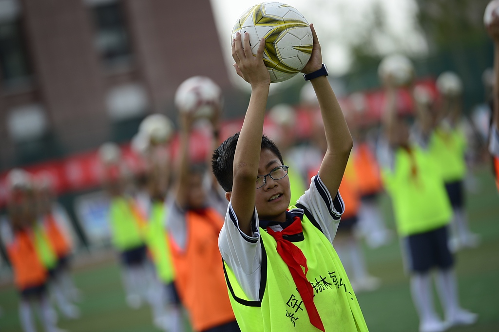 中国足球青训现状及校园足球现状,足坛名宿中国足球