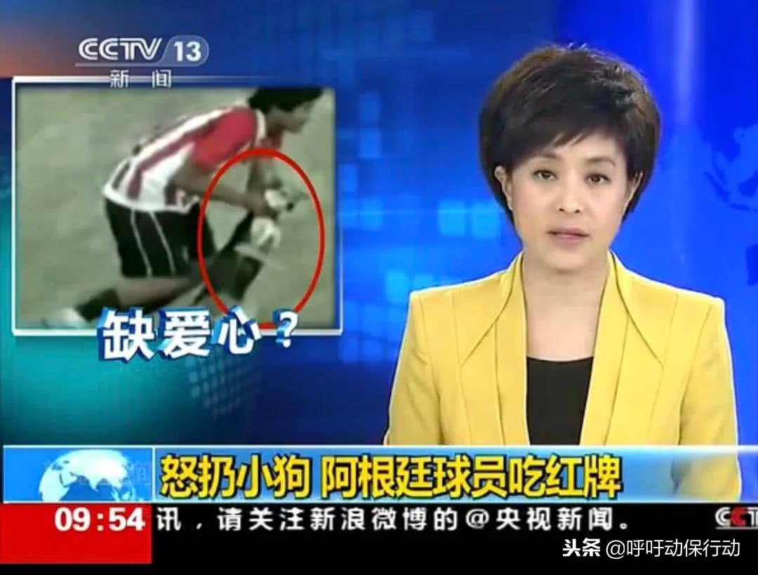 阿根廷球迷冲进球场判罚结果,足球场上因为扔狗被红牌