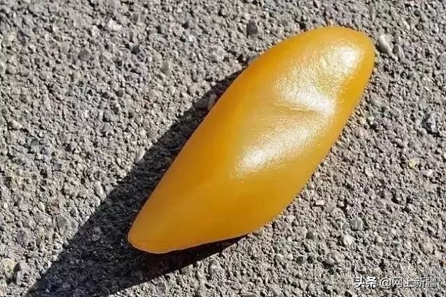 戈壁滩上的宝贝,新疆戈壁沙漠上的宝贝