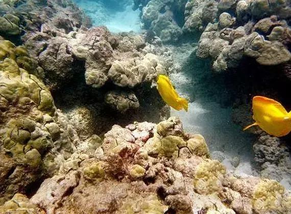 全球惊艳的10个海底世界，看到第一个就想出发！