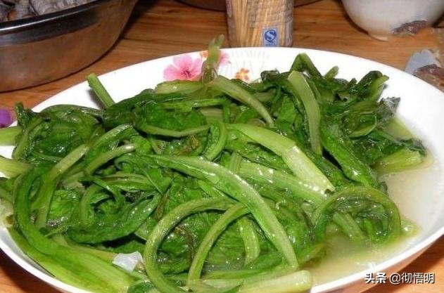 江阳区好玩的地方景点,泸州江阳区好玩景点排名