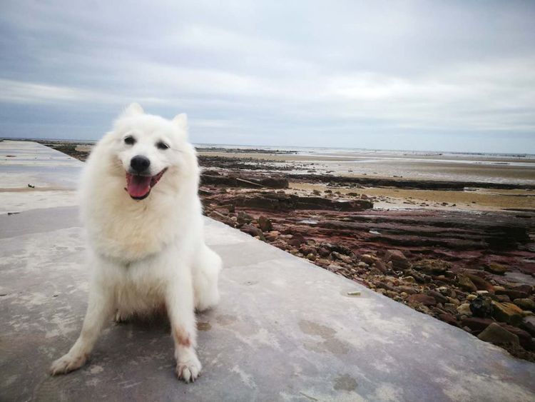 误打误撞的多肉情缘,带我走进多肉小世界!