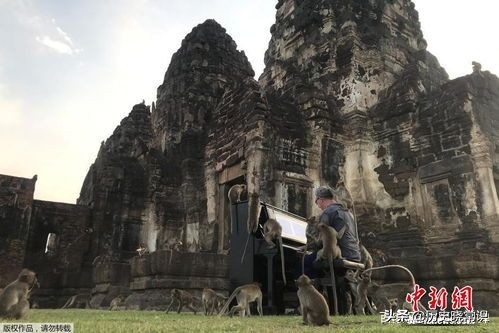 公认十首最好听的钢琴曲情感,钢琴曲最好听的10首歌曲