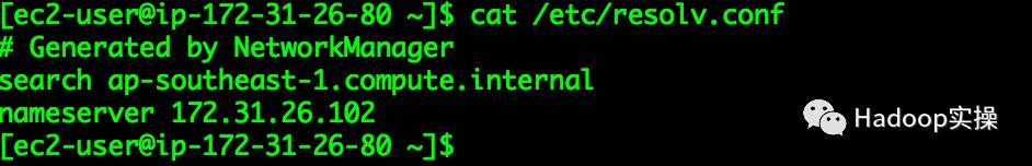 0047-如何利用Dnsmasq构建小型集群的本地DNS服务器