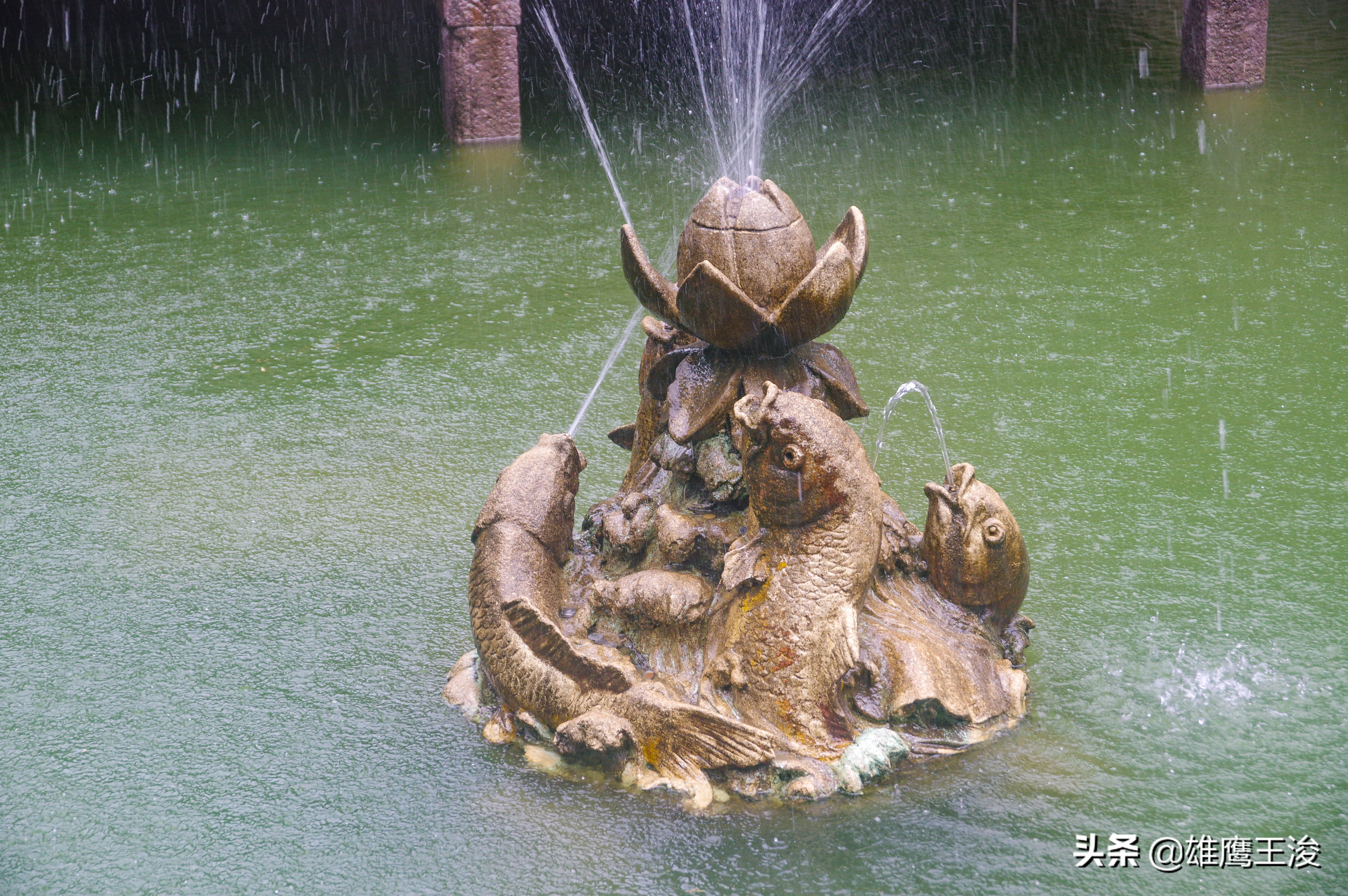 上海旅游必去的10大热门景点,上海最热门的旅游地方