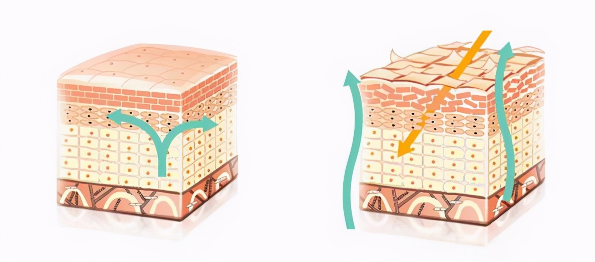 隔离霜真的有用还是只是骗局,有哪些坑人的隔离霜