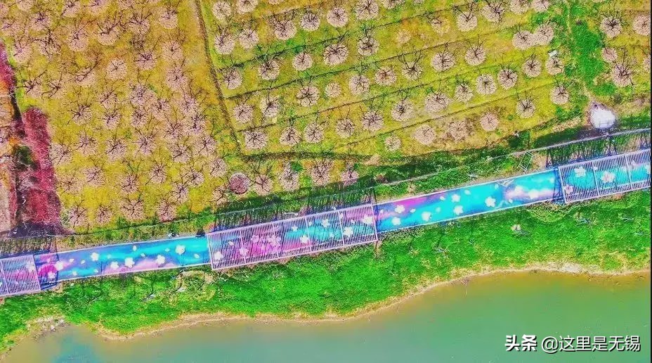 无锡网红打卡地彩虹跑道,无锡古运河健身步道