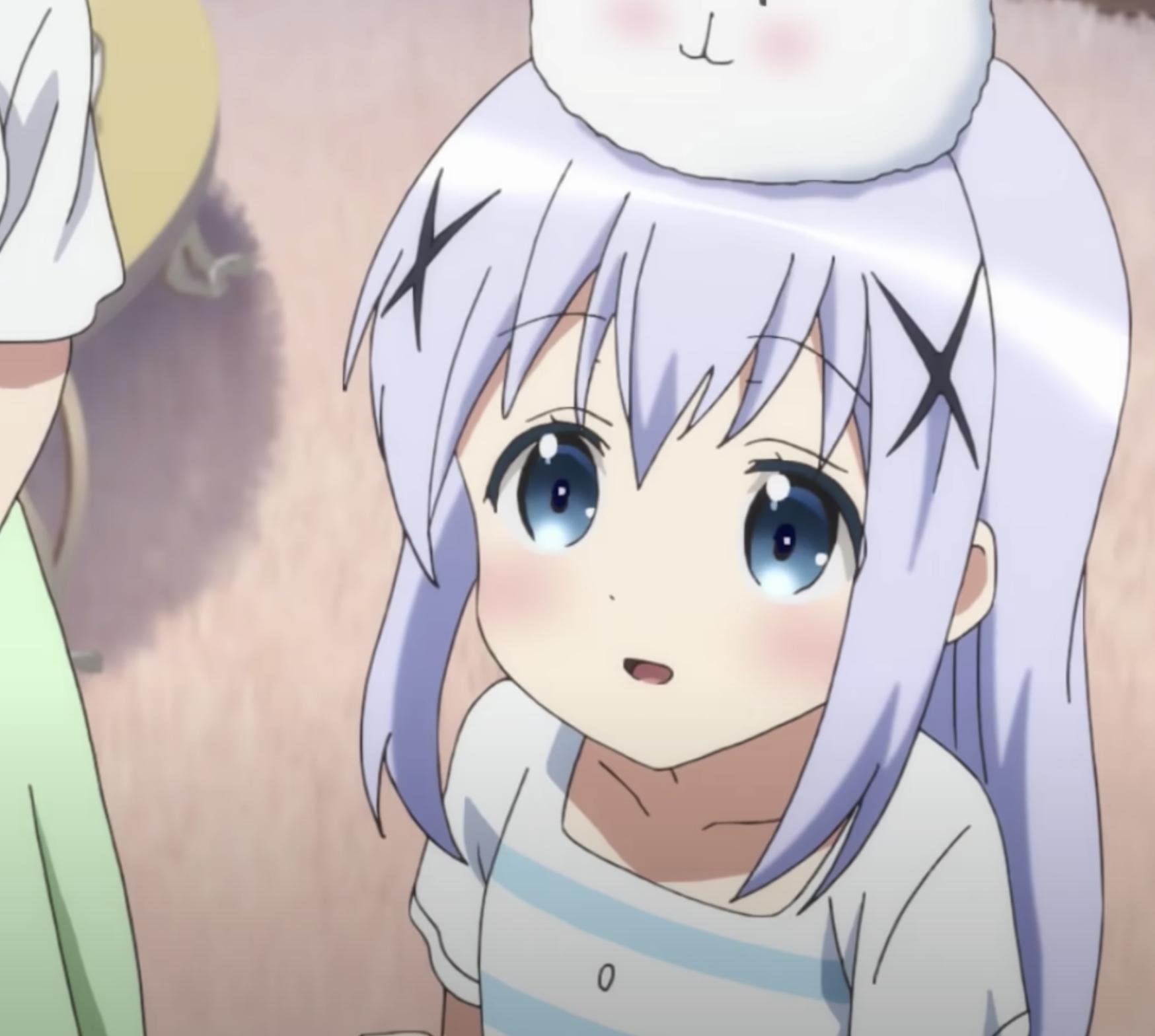 《请问您今天要来点兔子吗?》第三期10月播出,老法师准备好吗