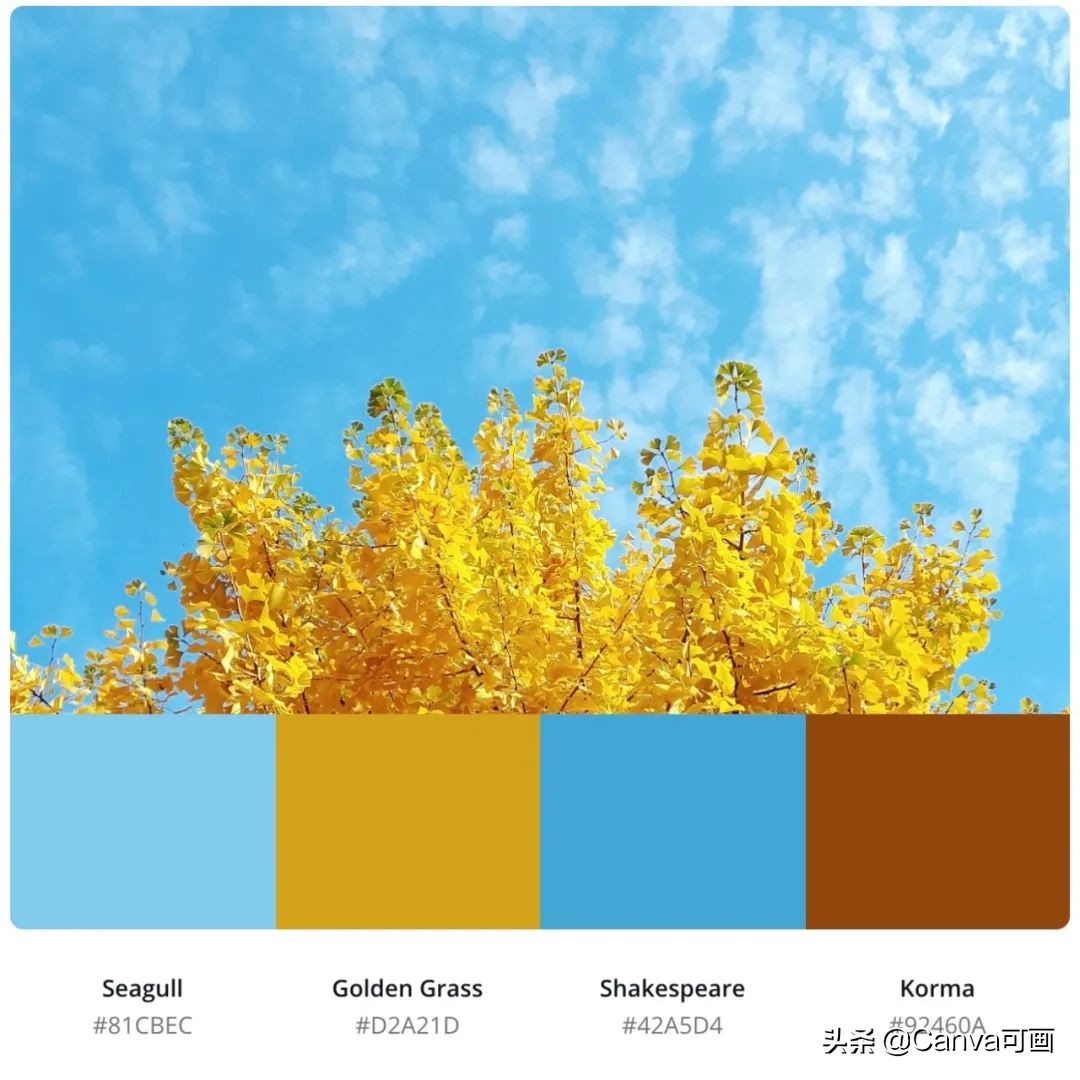 秋天配色插画秋高气爽,秋季高清插画