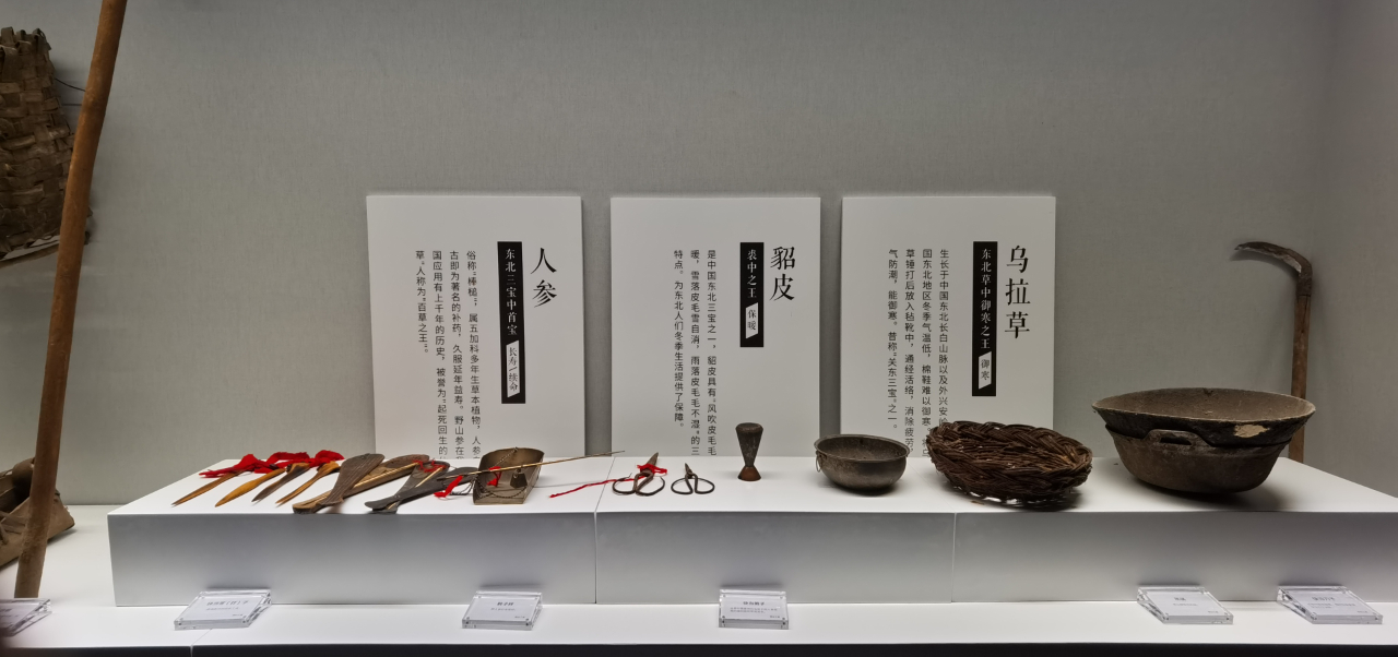 野山参文化传承,野山参历史文化