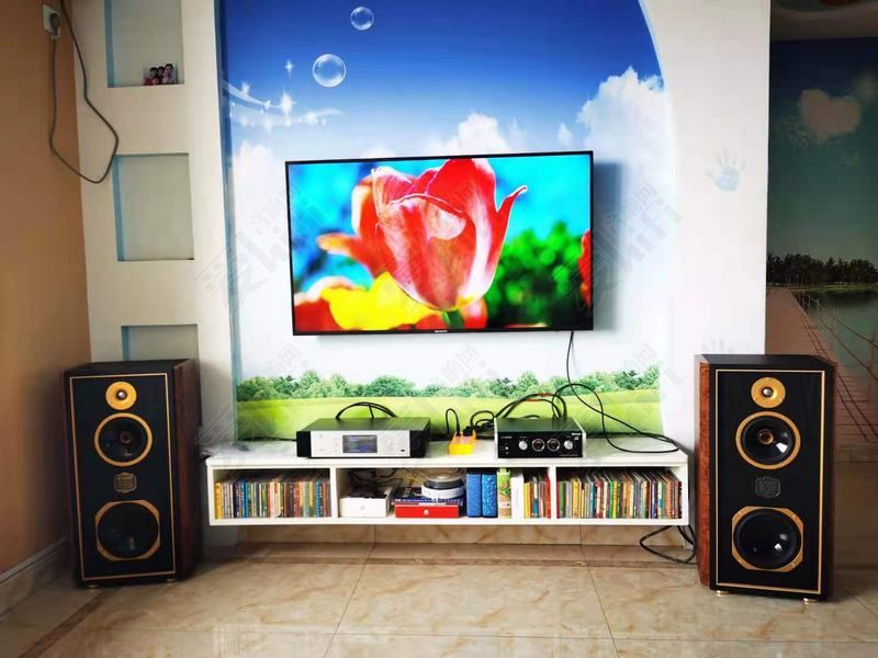 初入柴坑有没有什么要避雷的,新手初烧hifi