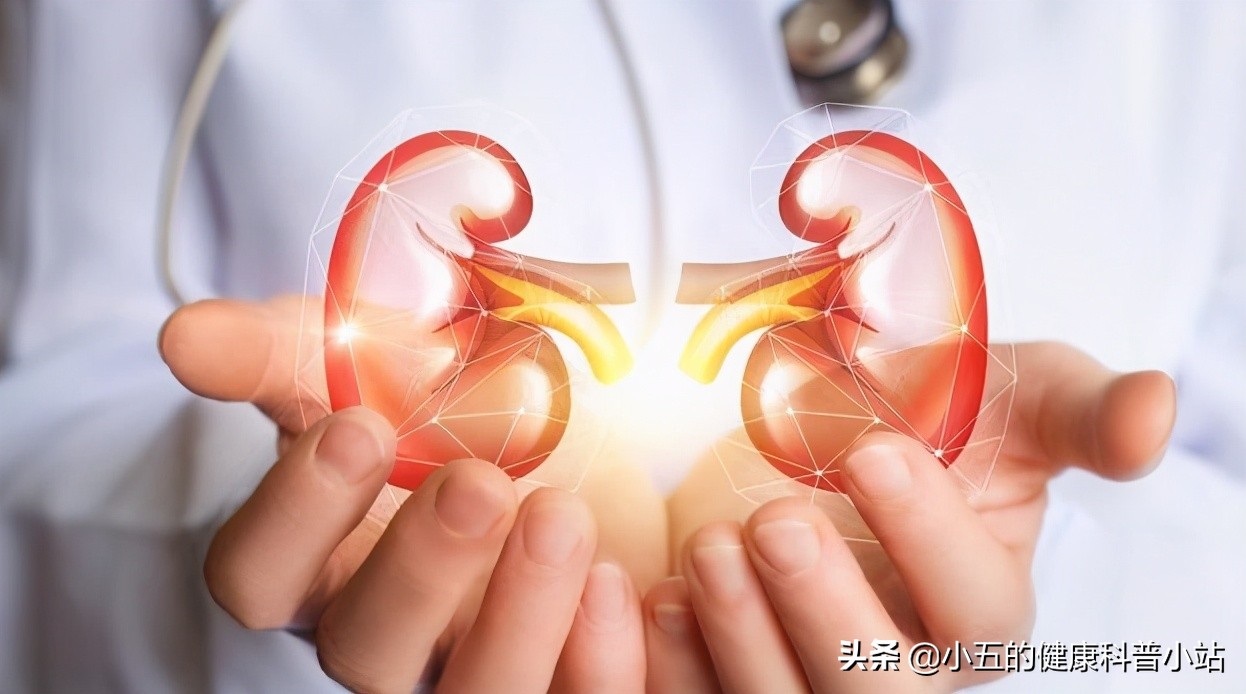 百令胶囊吃2粒和4粒有什么区别,百令胶囊是中医药吗