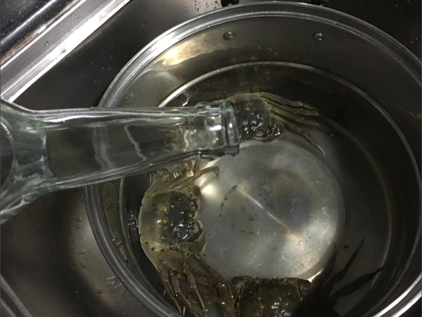 蒸螃蟹为什么蟹脚老是掉下来,大闸蟹怎么蒸蟹脚不会掉