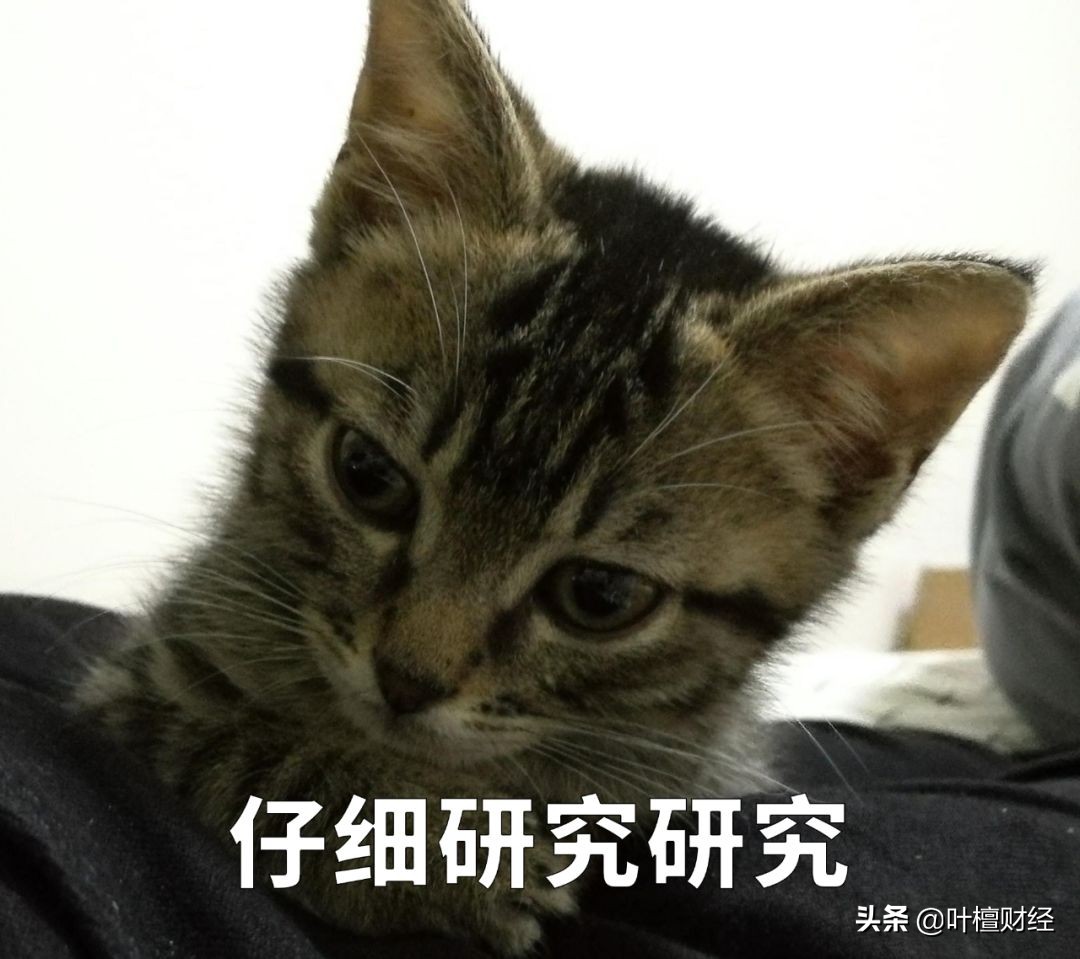 无法原谅！51信用卡事件的背后隐藏着资本最大的恶