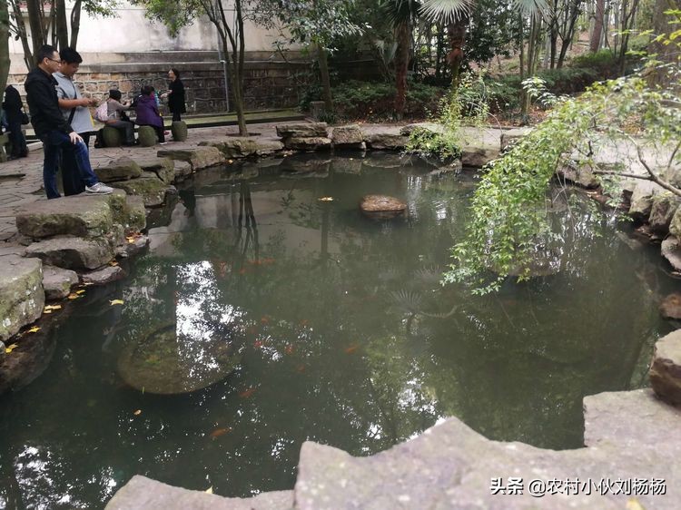 奉化溪口一日游攻略,奉化溪口一日游旅行社跟团多少钱