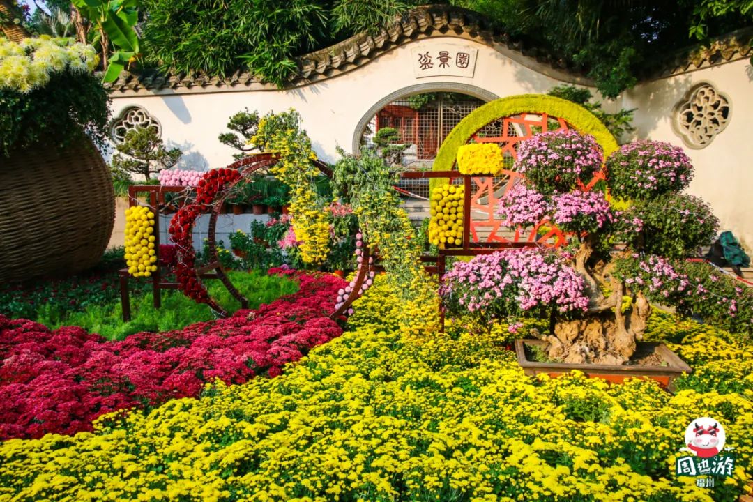 福州菊花展21年还有吗,福州西湖菊花展人山人海