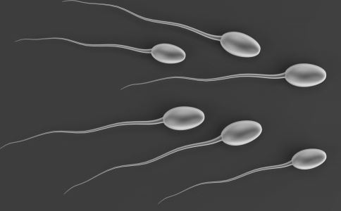 为啥有排卵却不易受孕呢,静医生团队调理怀孕可靠吗