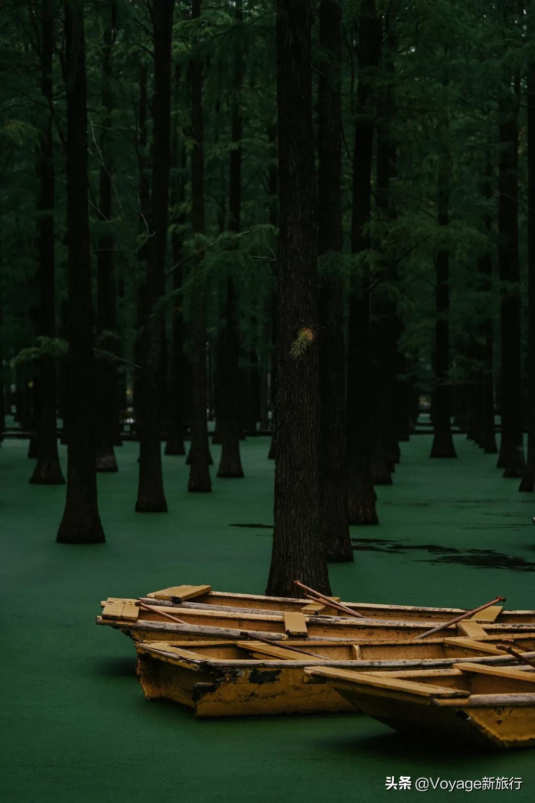 27个世界湿地日,世界湿地之都