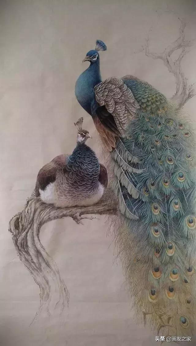 陈松岩工笔白描画全集,陈松岩工笔国画