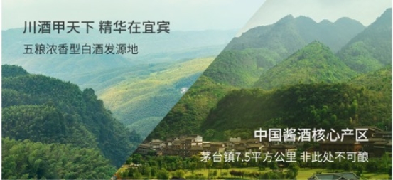 谷小酒新品一周成功案例,谷小酒市场前景