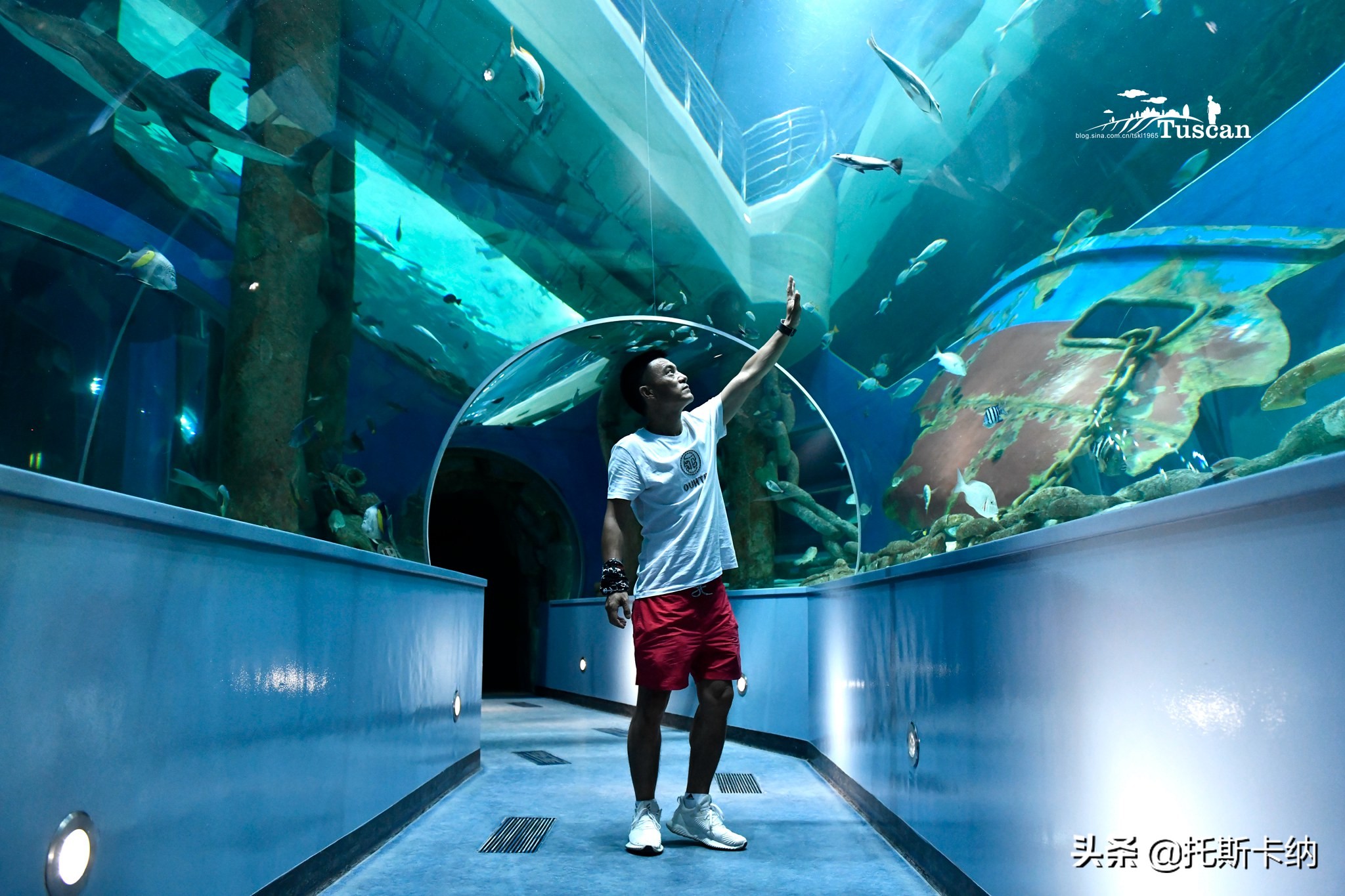 阿联酋沙迦有什么好玩,阿联酋沙迦景点介绍