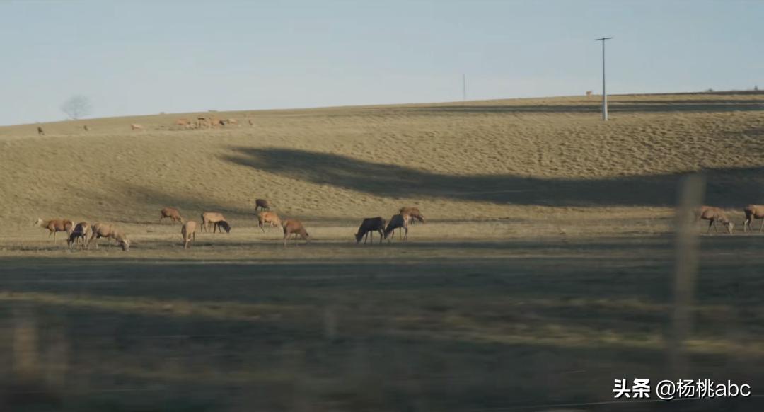 Letsgo!|这个地方竟然这么多综艺节目抢着去?