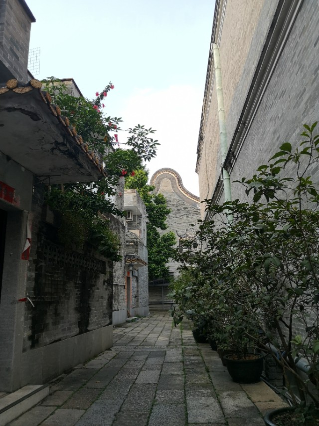 广州沙湾古镇有什么特点,广东省的文化沙漠在哪里