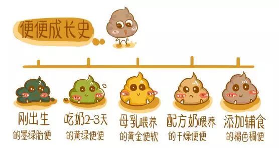 宝宝几天不拉屎是便秘了吗,宝宝一天不排便就便秘怎么办