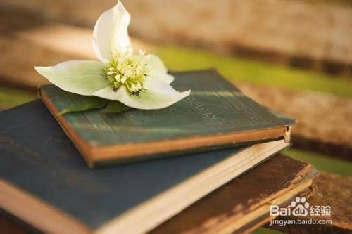 企业管理培训书籍,企业流程管理书籍推荐