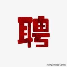 成都的电气成套设备有限公司招聘,昆明电气成套设备厂招聘