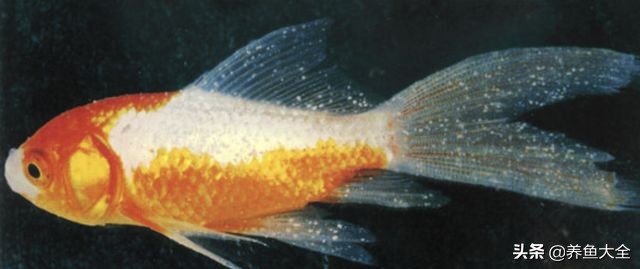 疾病科普小讲堂,疾病知识小讲堂