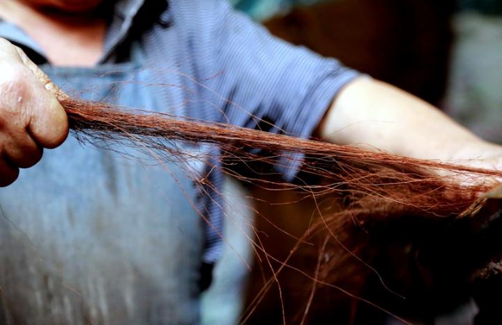 千棵棕万棵桐好不好,千棵棕万棵桐的寓意