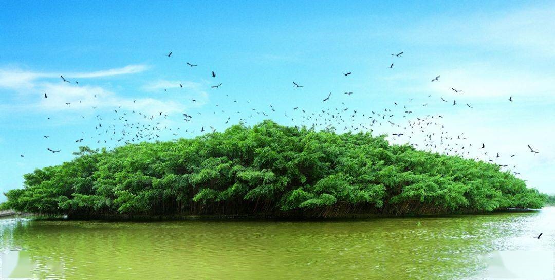 江门这个城市在大家的印象中,江门真是一个好神奇的城市