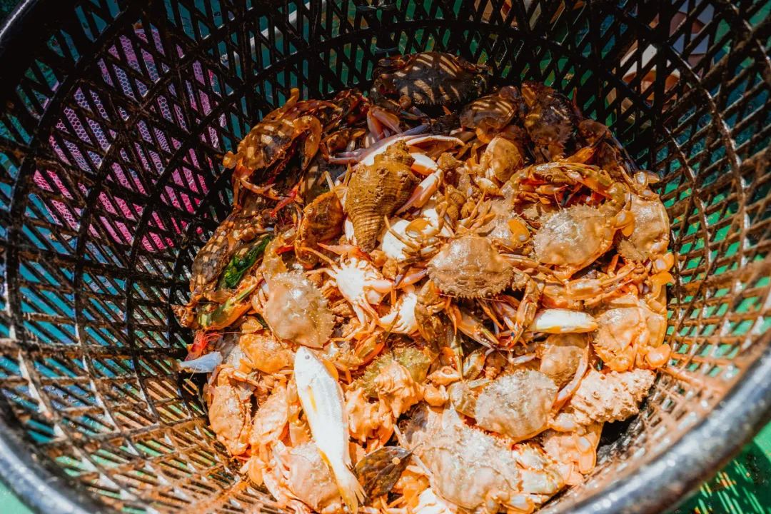 五一台州海岛,五一天气好的海岛推荐