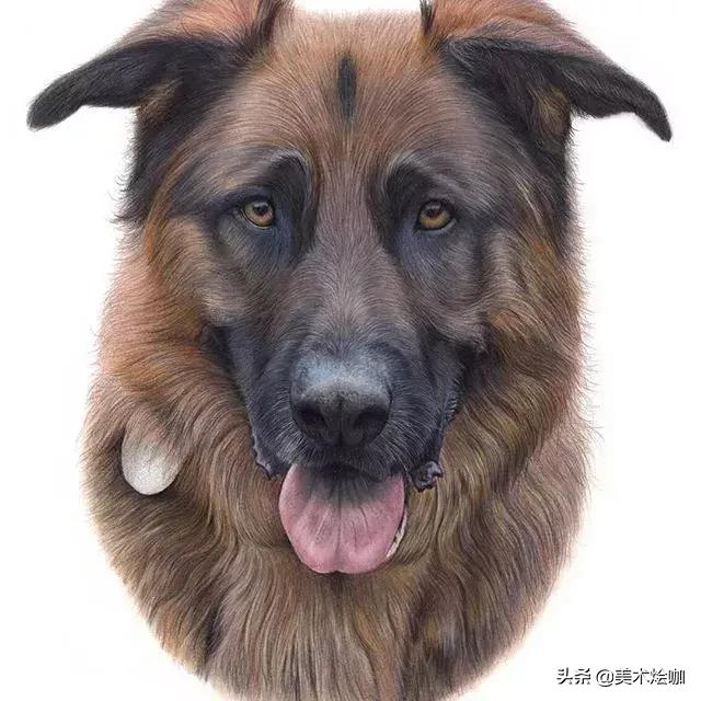 画的比照片还逼真,画的比照片还真实