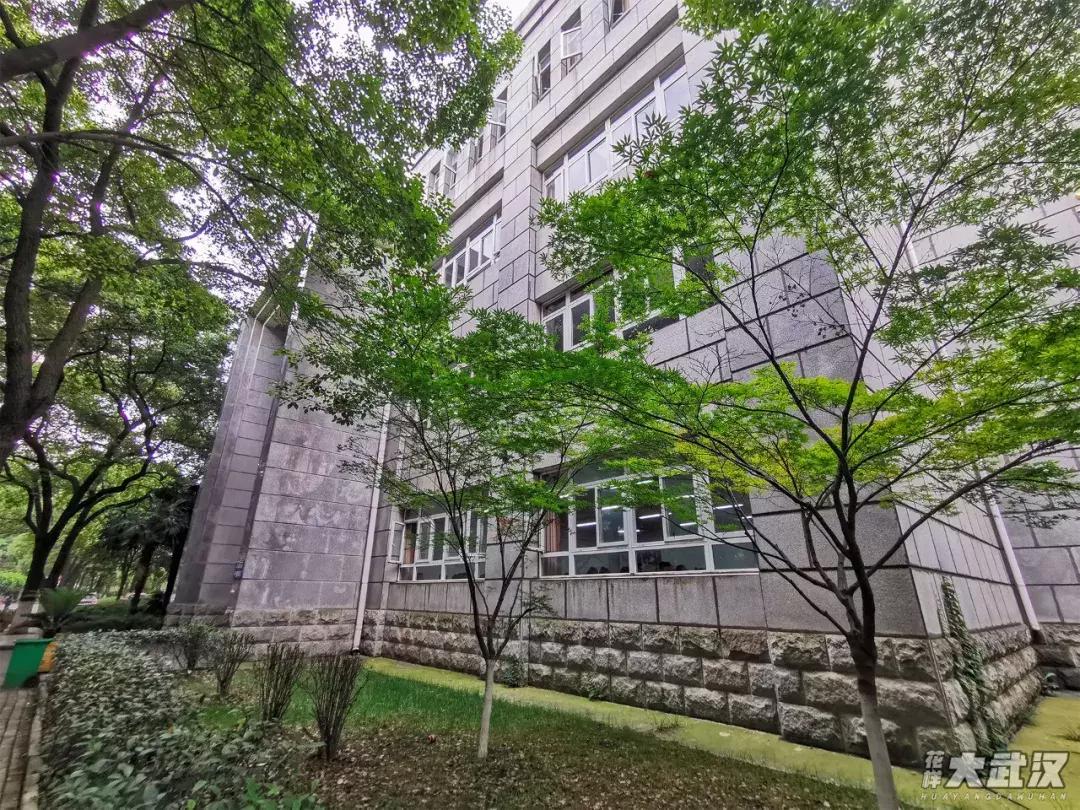 武汉科技大学的机械学院,武汉科技大学医学院和临床学院