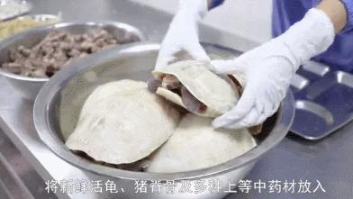 龟汤药材配方,石龟煲汤料配方大全