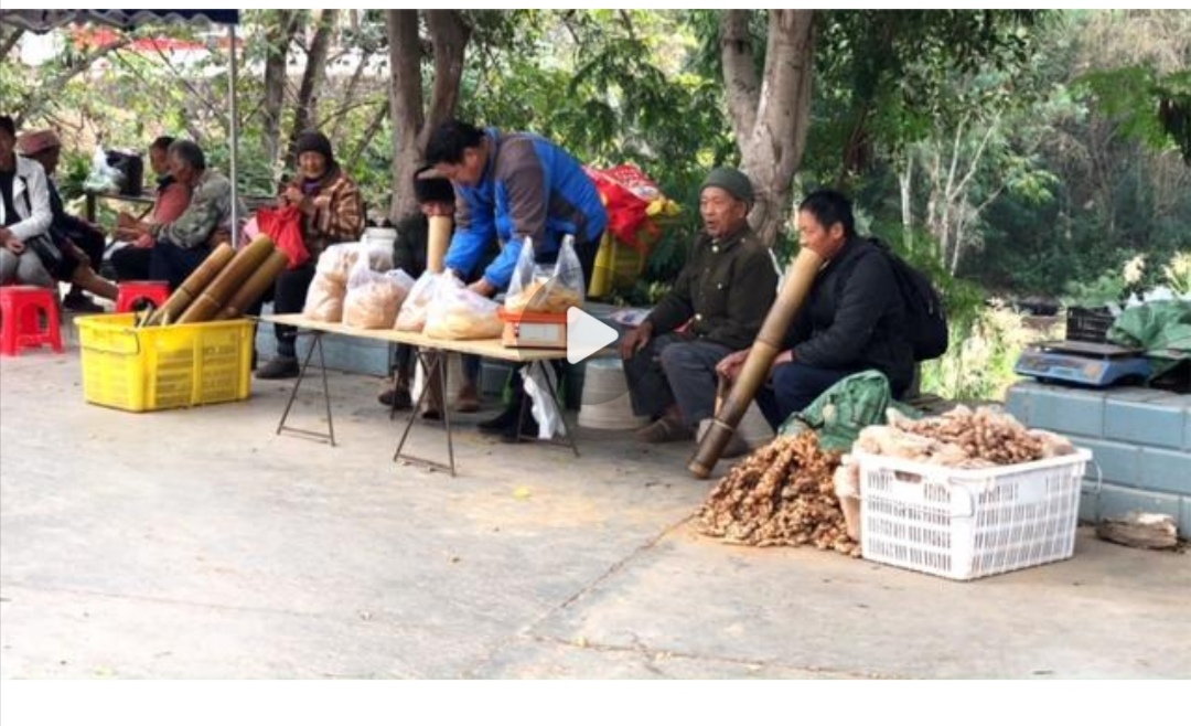 徐建成散文随笔选,徐建成的散文随笔