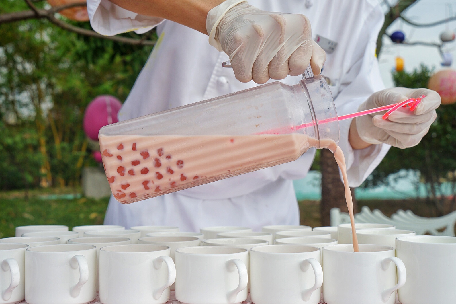 广州粉色浪漫花海,广东秋天粉色花海